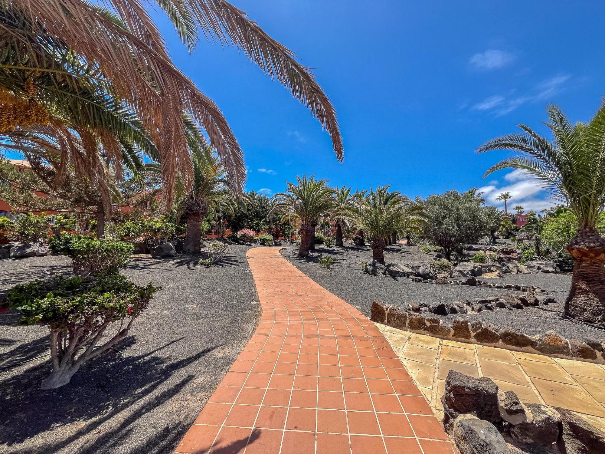 Apartamentos Oasis Royal Corralejo F314 Exterior foto