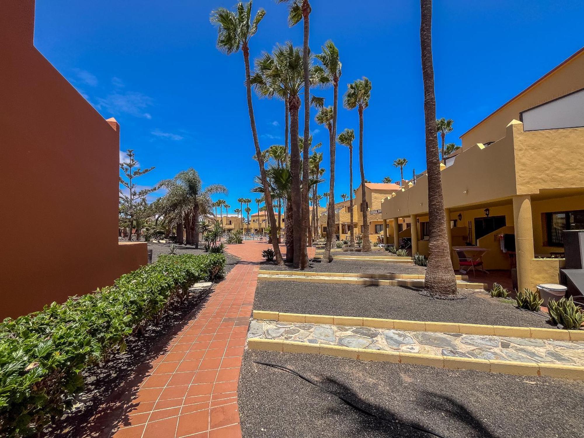 Apartamentos Oasis Royal Corralejo F314 Exterior foto