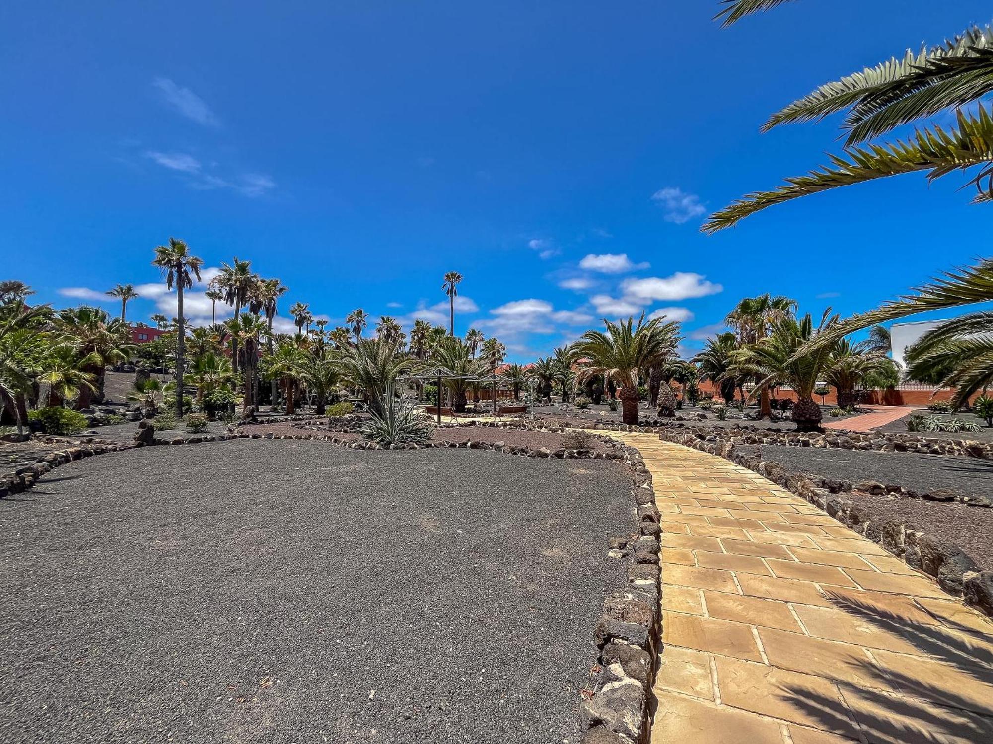 Apartamentos Oasis Royal Corralejo F314 Exterior foto